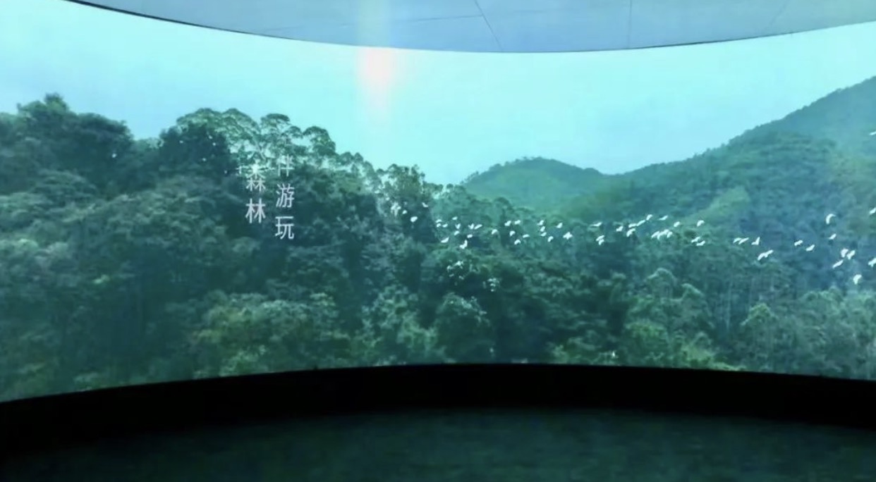 360°环幕影厅｜共同感受一场人与自然的现代艺术对话